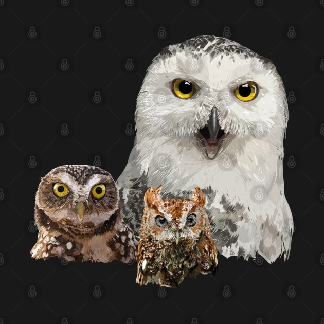 Snowy Owl, Owl and Little Owl by obscurite