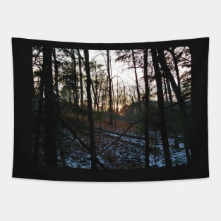 Forest Sunset Tapestry