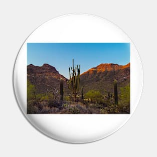 Cacti Saguaro Pin