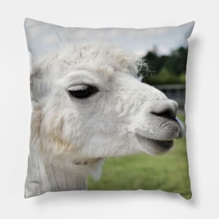 Pretty Llama Photograph Pillow