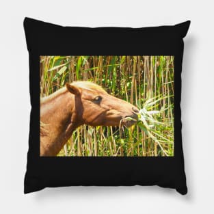 Assateague Pony Enjoying a Marsh Grass Lunch Pillow