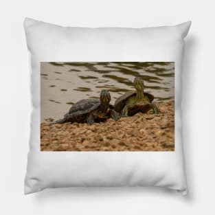 Red-eared Sliders Pillow