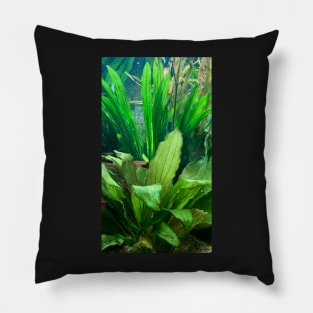 green leaves Pillow