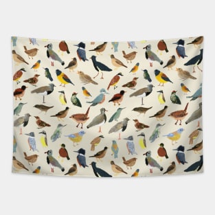 Great collection of birds illustrations Tapestry