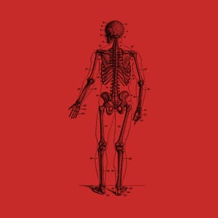 Backward Facing Skeletal Diagram - Vintage Anatomy T-Shirt