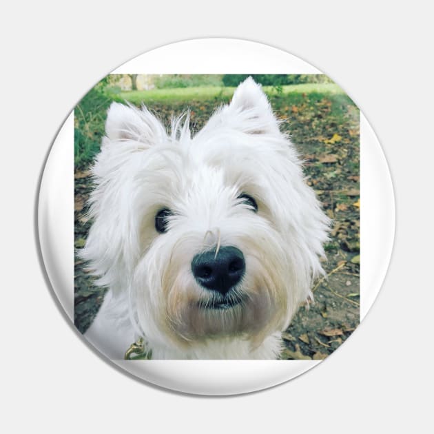 Westie Pin by princess-pirate