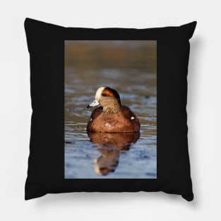 Beautiful Wigeon Pillow