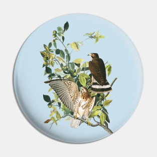 Audubon Broad-winged Hawk Pin