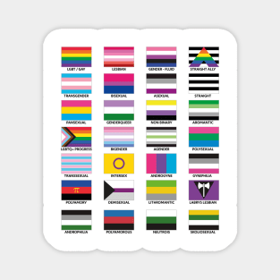 LGBT FLAGS Magnet