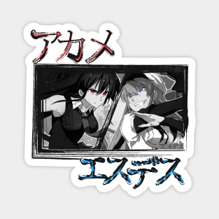 Akame ga kill Magnet