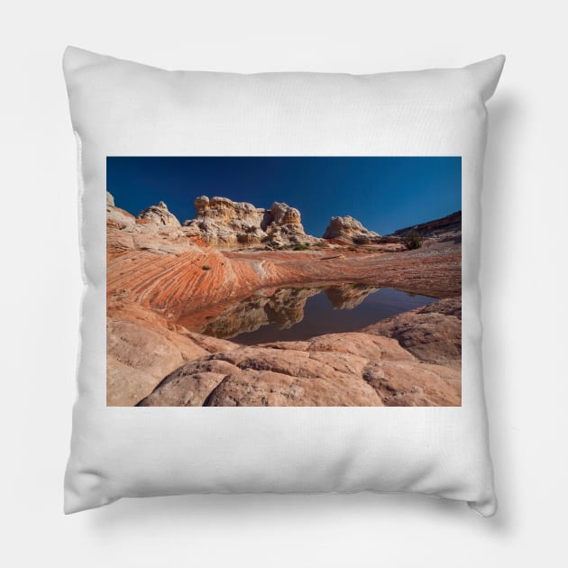 White Pocket - Reflection Pillow by algill