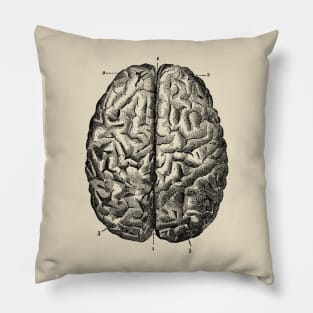 Brain! Pillow