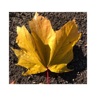 Yellow leaf T-Shirt