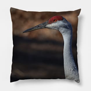 Michigan Sandhill Crane Pillow