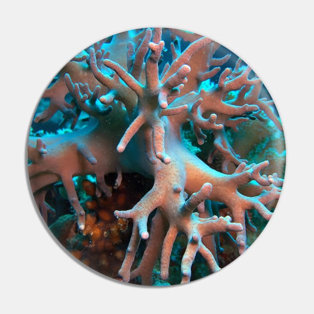 Red Sea Soft Coral Pin by likbatonboot