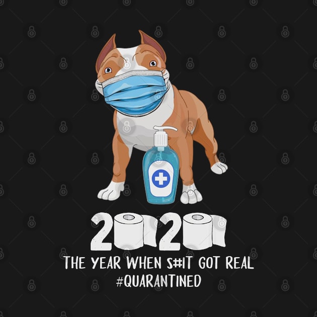 Pitbull 2020 The Year When Shit Got Real Quarantined Funny by DAN LE