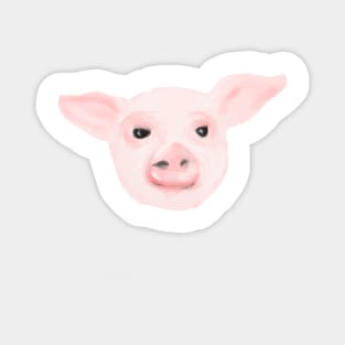 Pig Magnet