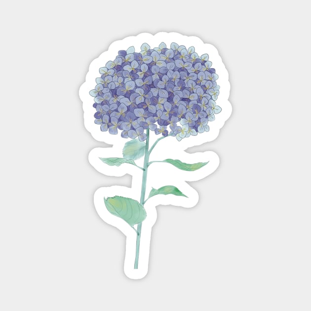 Hydrangea watercolor Magnet by Designs by Twilight