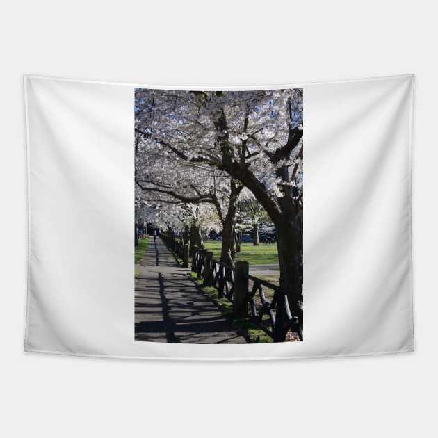 Cherry Blossoms Tapestry by Rob Johnson Photography