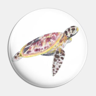 Watercolour Turtle Pin