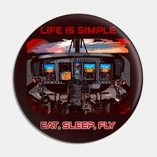 Aviation cockpit Pin
