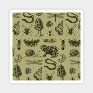 Biology Vintage Goblincore in Natural History Magnet