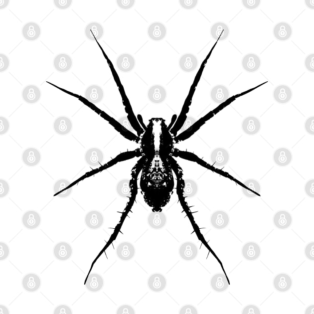 Wolf spider by R LANG GRAPHICS