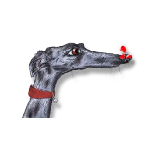 GREYHOUND with HEARTS T-Shirt