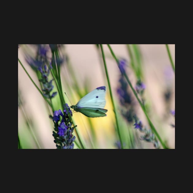 Against the Breeze by EileenMcVey