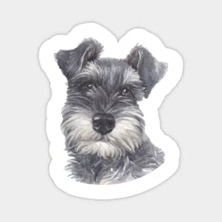 Miniature Schnauzer Watercolor Art Magnet