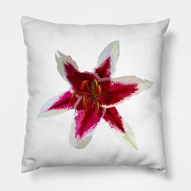 Lily Pillow by michdevilish