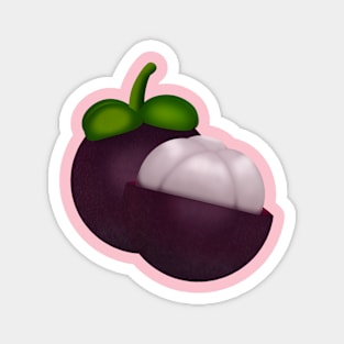 Mangosteen Magnet