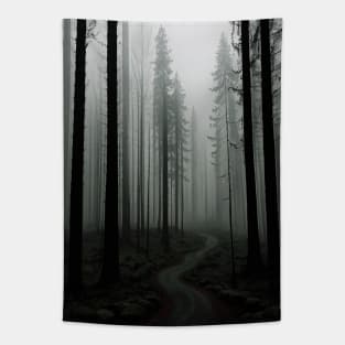 Pathway in a Misty Pine Forest Tapestry