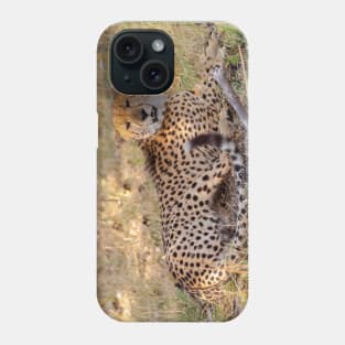 Panting Cheetah Resting in the Shade Phone Case