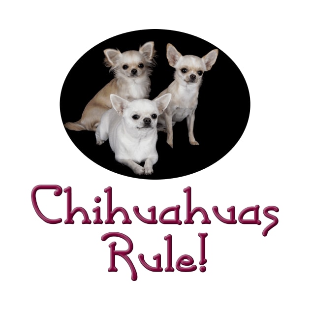 Chihuahuas Rule! by Naves