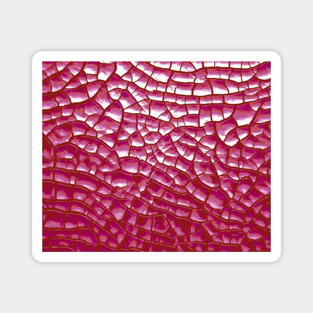 Lesbian Pride Dry Cracked Texture Magnet by VernenInk