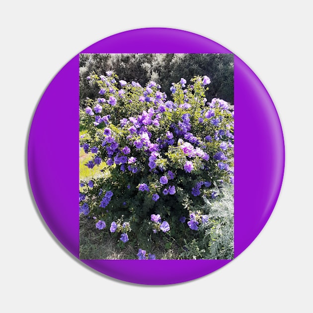 Purple Hibiscus Flowers Pin by SarahRajkotwala