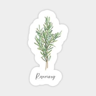 Rosemary herb art Magnet
