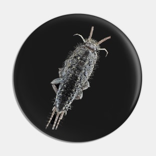 Zygentoma silverfish Pin