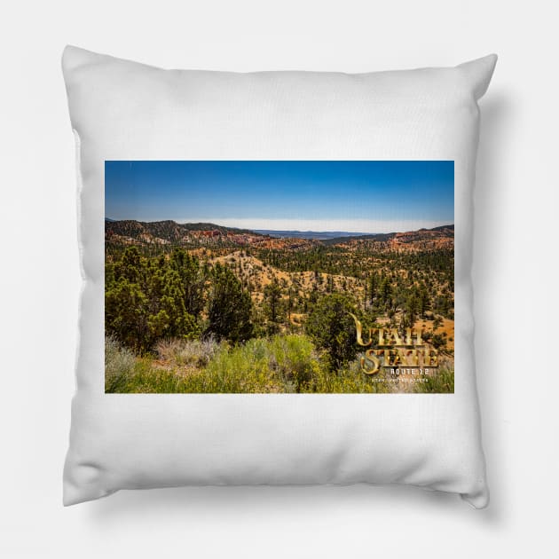 Utah State Route 12 Scenic Drive Pillow by Gestalt Imagery