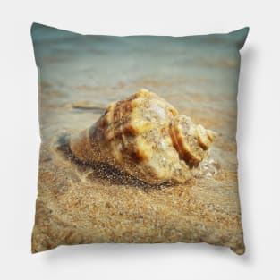 whelk Pillow