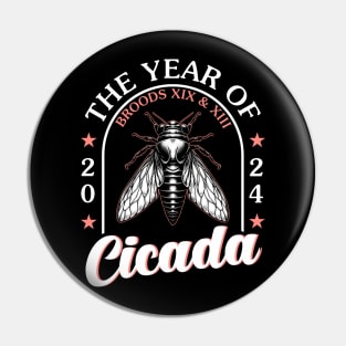 Cicada Pin