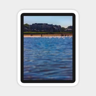 Beautiful Scottish Beach in North Berwick Magnet