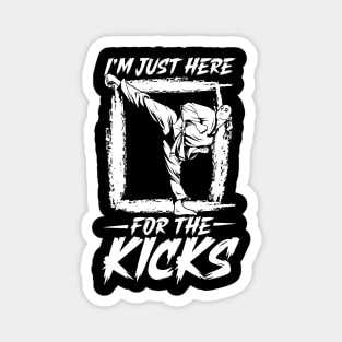 I am here for the kicks - Hapkido Magnet