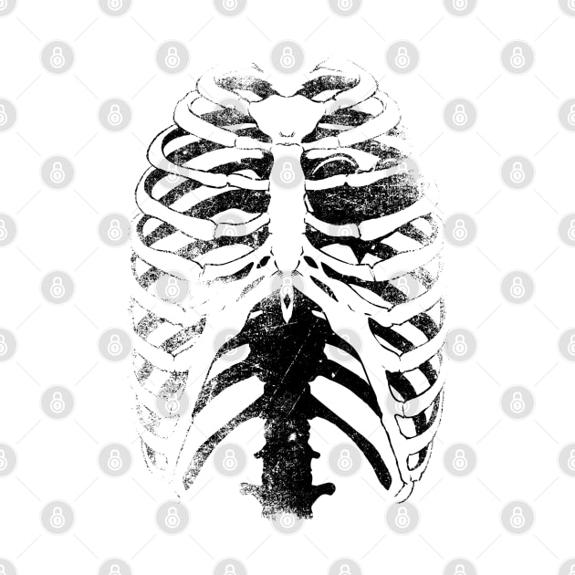 Skeleton Ribcage by drewbacca