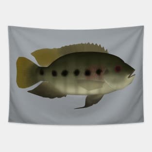 Spotted Tilapia Tapestry