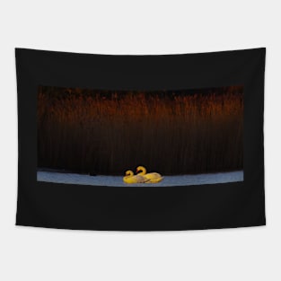 SWAN SUNRISE Tapestry