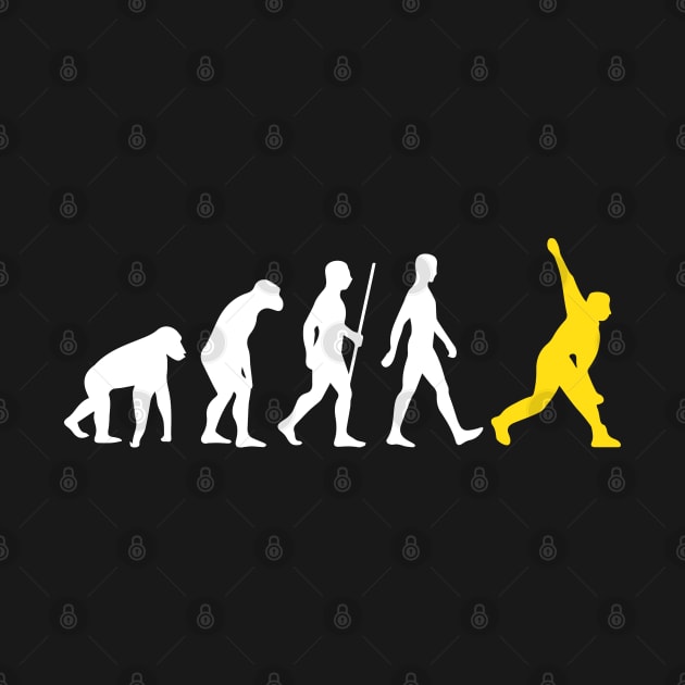 Cricket Evolution Bowler Batsman Player Fans by alltheprints