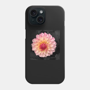 Pink Flower Art for Fashion and Home decor Phone Case