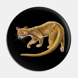 Fossa Pin